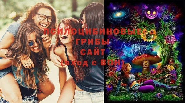 эйфоретик Гусиноозёрск