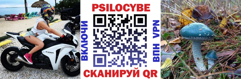 Купить закладки  Бабаево  Галлюциногенные грибы GOLDEN TEACHER 